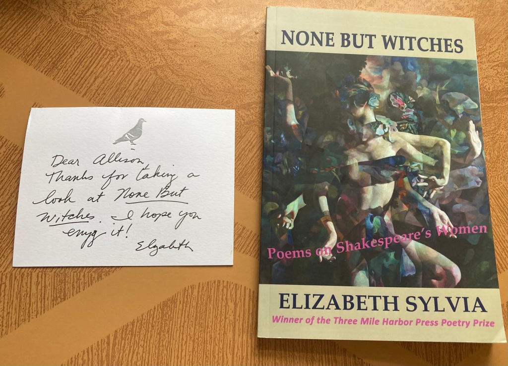 Book Review: “None But Witches” by Elizabeth Sylvia